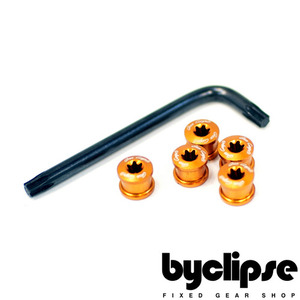 Diacompe Chainring Bolt [Gold]